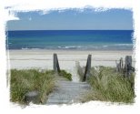 Cape Cod Properties